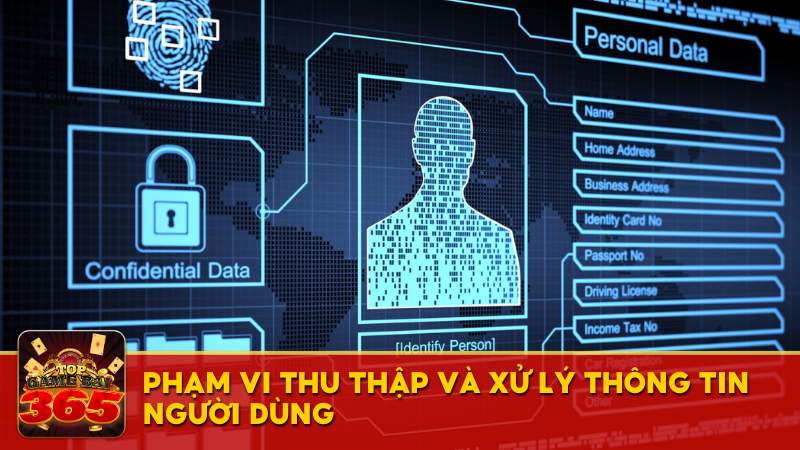 Phạm vi thu thập và xử lý thông tin người dùng