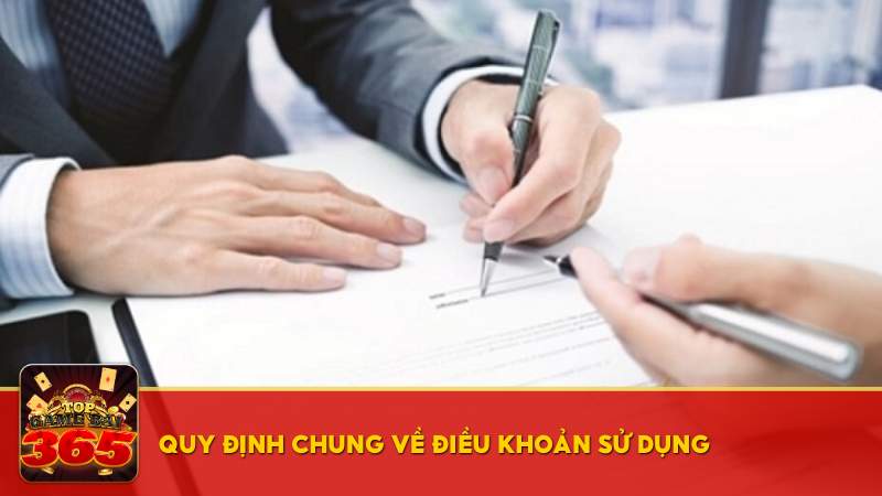 Quy định chung trong điều khoản và điều kiện sử dụng Topgamebai365