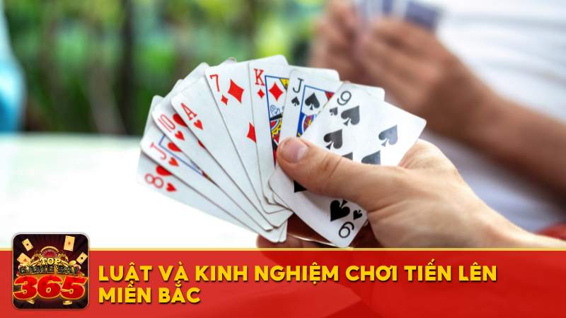 tien len mien bac - Hướng dẫn chơi game bài Tiến Lên Miền Bắc cho tân thủ