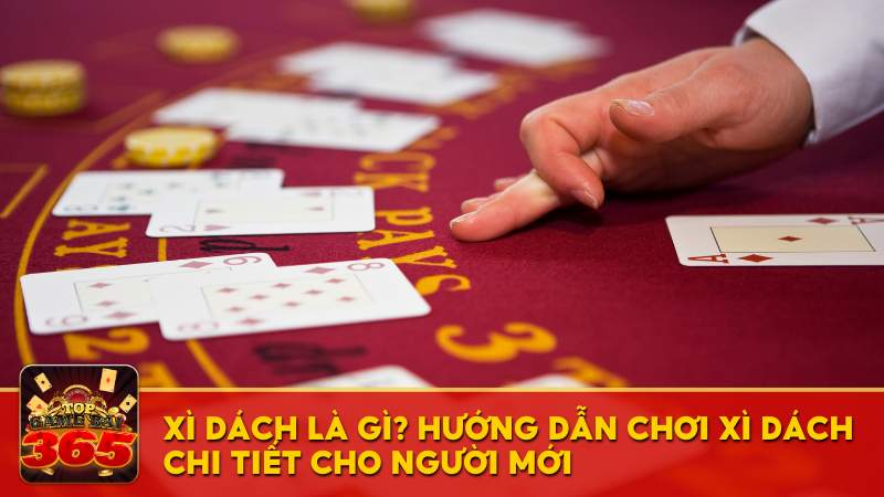 Xì Dách là gì? Hướng dẫn chơi Xì Dách chi tiết cho người mới từ Top Game Bài 365