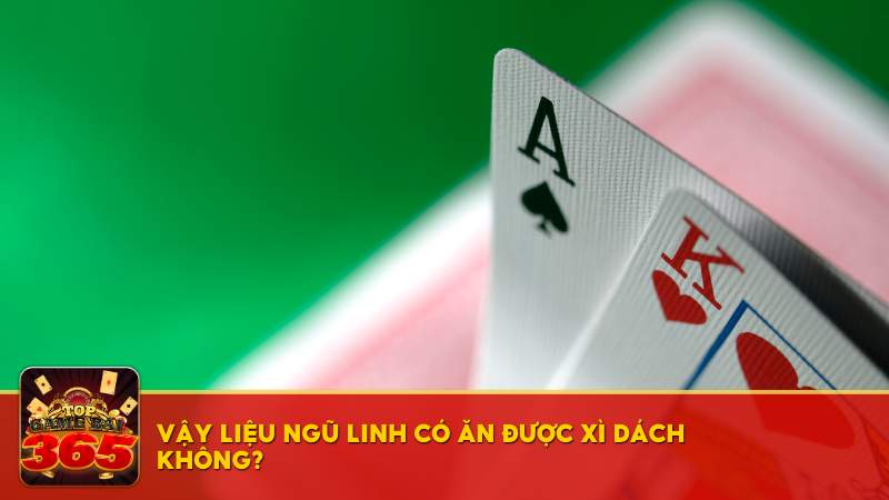 Vậy liệu Ngũ Linh có ăn được Xì Dách không?