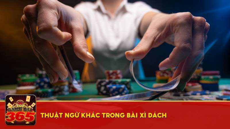 Thuật ngữ khác trong bài Xì Dách